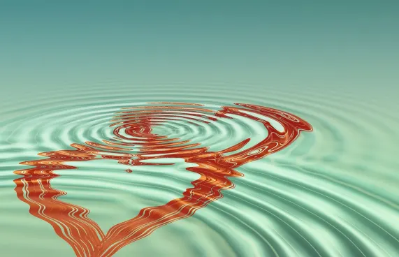 WinFest Casino Stuðningur